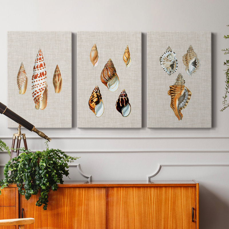 Antique Shells on Linen I - Ensemble de 3 peintures sur toile tendue, H 48 po x l 96 po x P 1 po