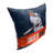Polyester Pillow Cover