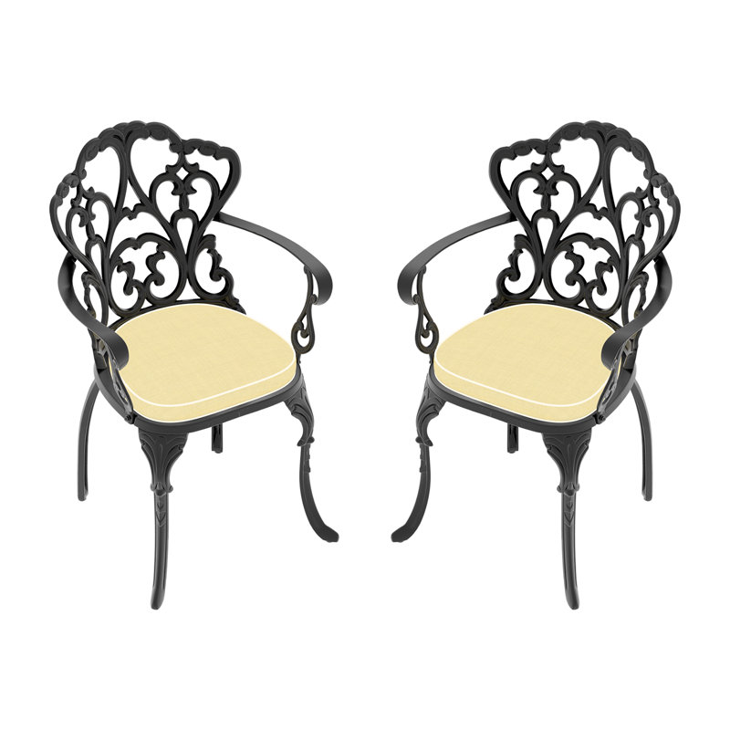 Chaises de salle à manger d'extérieur 2 pièces, cadre noir - cadre anticorrosion, cadres de chaises élégantes et confortables,