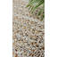 Sharm Rectangle Area Rug in Orange-524091142
