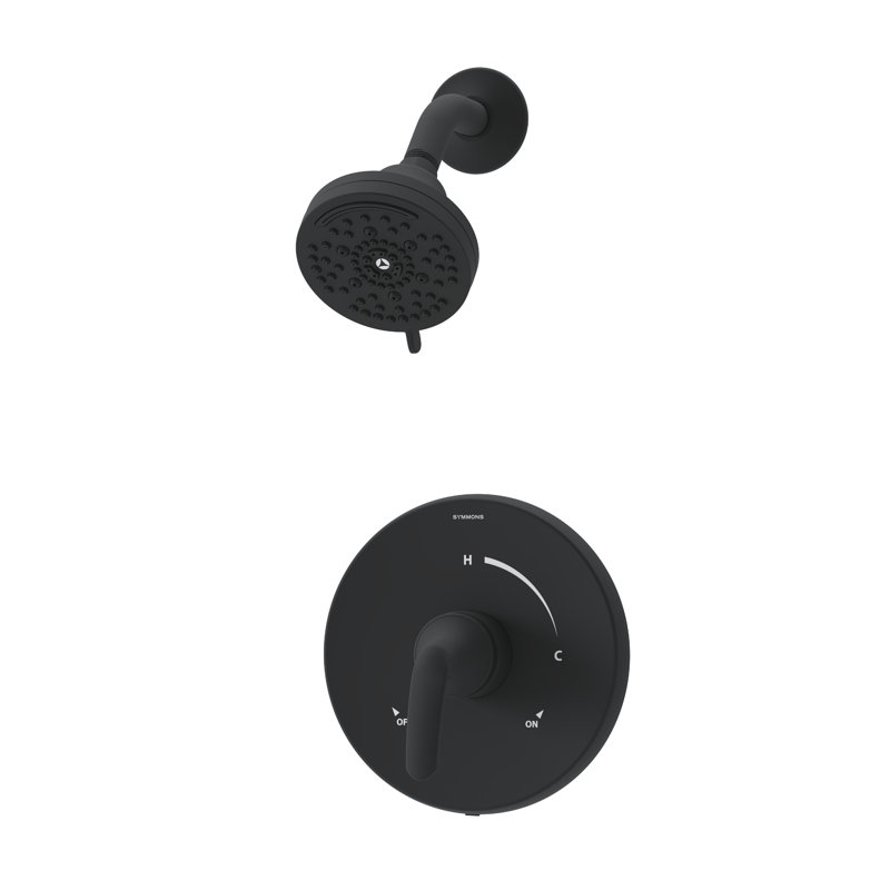 Ensemble de garniture de douche à poignée simple Elm, Noir mat