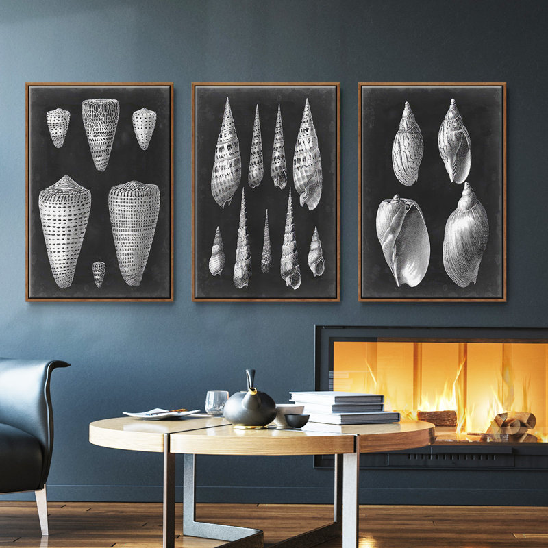 Alabaster Shells I, ensemble de 3 toiles encadrées sur toile, Noyer, H 40 po x l 78 po