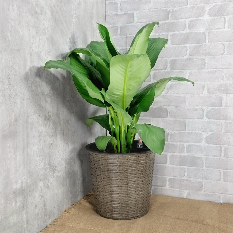 Jardinière décorative en osier à arrosage automatique