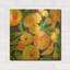 " Summery Citrus "-546600275