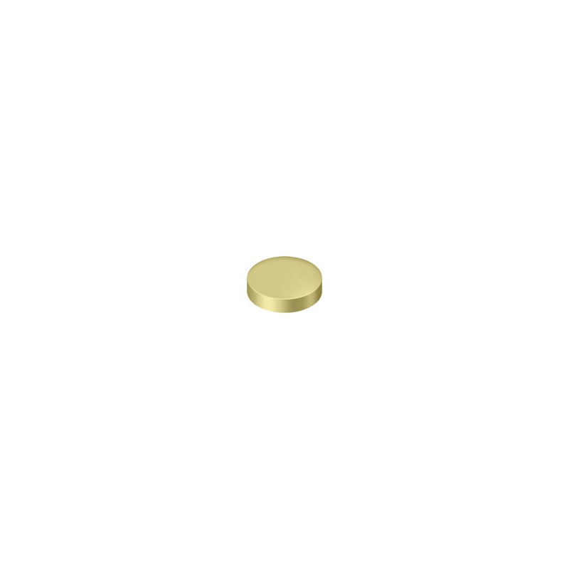 Deltana SCF100U3 Screw Cover, Round, Flat, 1" Diam in Polished Brass, Polished Brass