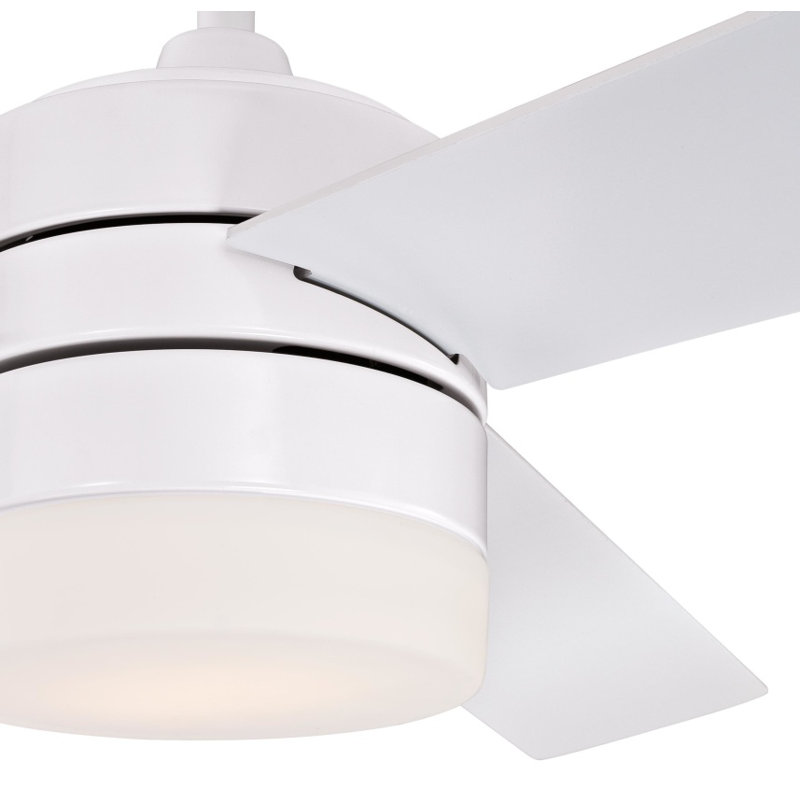 Enosburgh Ceiling Fan with LED Lights