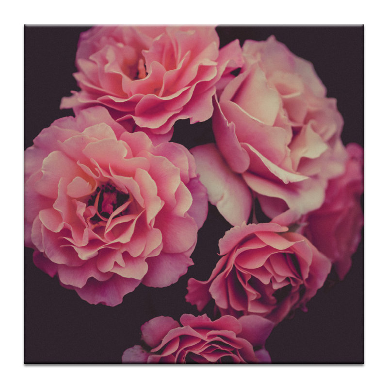 Print on Canvas, 102cm H x 102cm W, Wrapped Canvas
