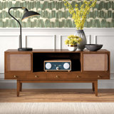 Saroja TV Stand for TVs up to 70"