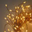300cm Indoor / Outdoor String Lights