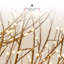 Twinkle Indoor / Outdoor Lighted Trees & Branches-62994035-63173345