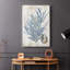 Varech II - Cavas enveloppés de galerie-108843913