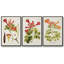 «Tropical Trumpet Flowers I», ensemble de 3 pièces encadrées sur toile-97946601-97946597