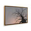 «Gnarled Tree I» par Michael Willett, reproduction d'art sur toile-860103984-860103983-860103980