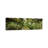 Low Angle View Of Trees, Bavaria, Germany #2 - Wrapped Canvas Panoramic Print-1397405817