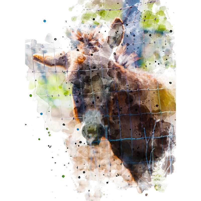 Donkey 3710 Print by Chamira Young, Black Framed Paper, 31.25" H x 25.25" W
