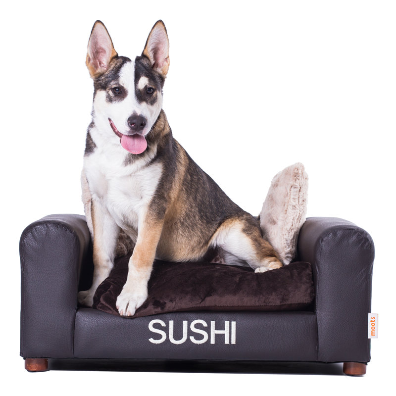 Canapé pour chien en similicuir Yucatan, Petit (H 12 po x l 28 po x P 20 po), Oui, Espresso