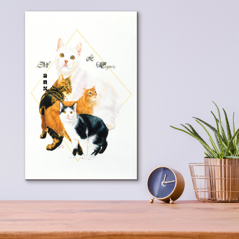 «Cymric And Manx On Plastique / Acrylique» par Barbara Keith Print, H 16 po x l 12 po x P 0,13 po