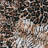 Leopard Print Plush Luxury Single Piece Blanket,King-122120399