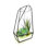 Terrarium