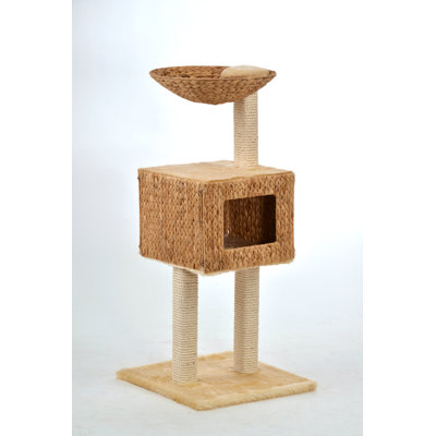 Dishman 101cm H Cat Tree