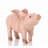 Animals Weather Resistant Water Resistant UV Resistant Polyresin Garden Statue