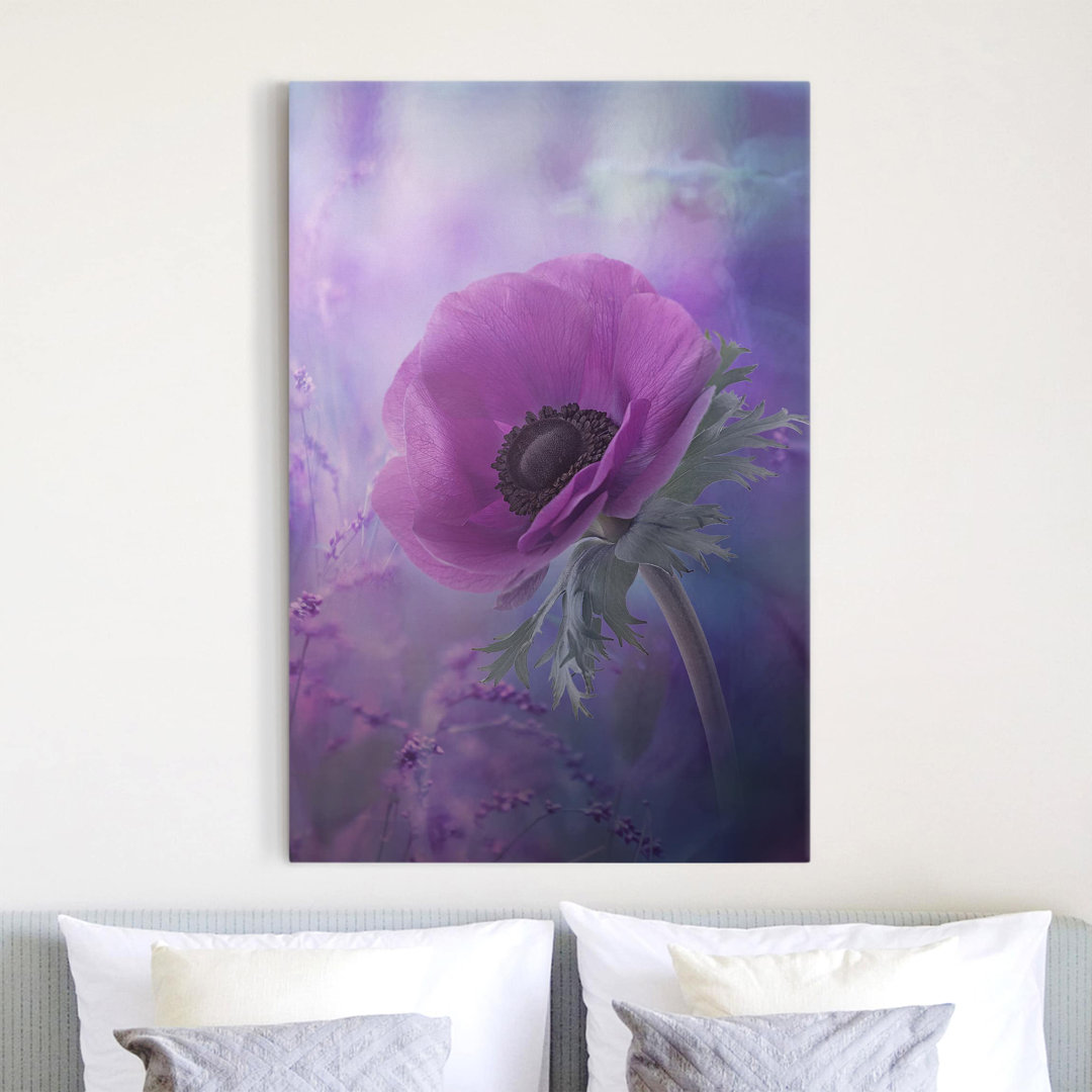 Leinwandbild Anemonenblüte