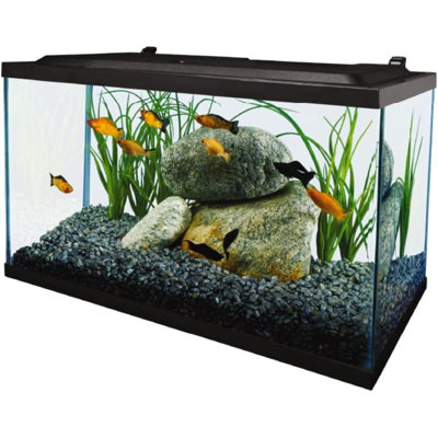 Aquarium, 10 Gallon, Complete Tropical Fish Tank Kit With LED Lighting For Freshwater Fish