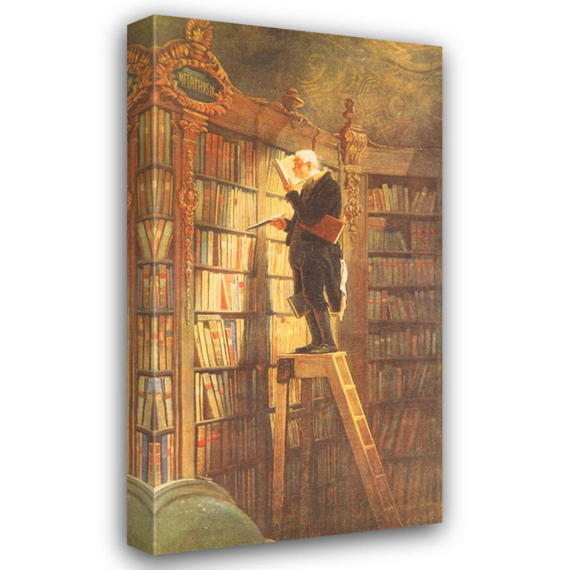 Rat de bibliothèque, H 24 po x l 13 po