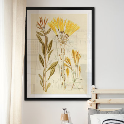 " Antique Botanical Sketch IV "
