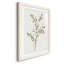 Cadre simple mat Premium Sprig II prêt à accrocher-608552821-608552825