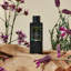 French Cade Lavender Ultrasonic Diffuser Oil