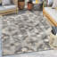 Tapis intérieur / extérieur gris Dickenson Loewy-70640623