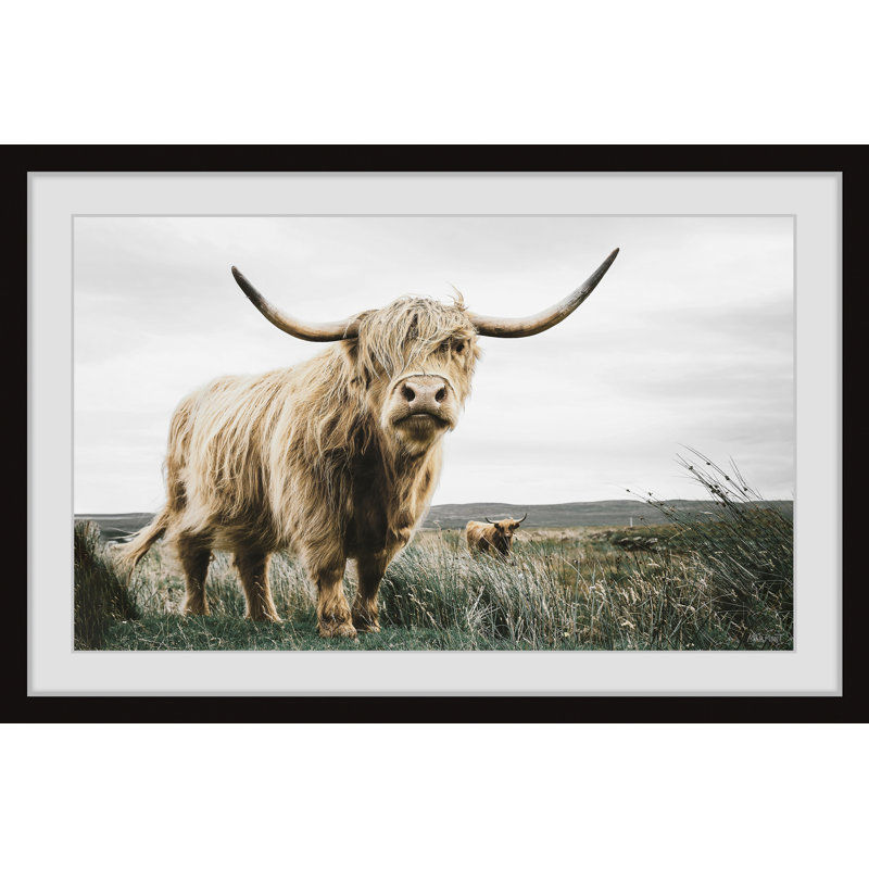 Roaming Cattle - Print, Black Framed Paper, 20cm H x 20cm W x 3.81cm D