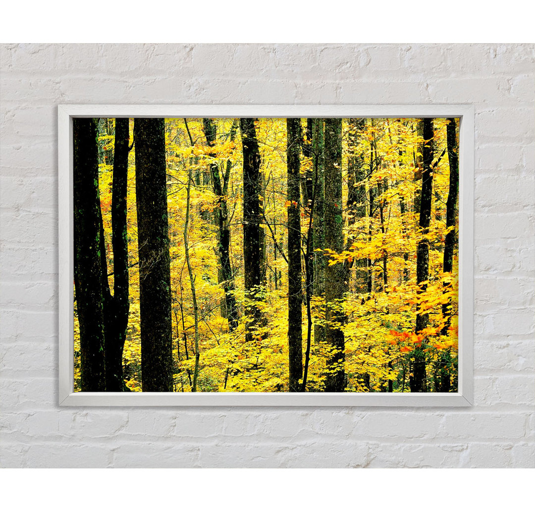 Yellow Woodland - Einzelner Bilderrahmen Kunstdrucke auf Leinwand