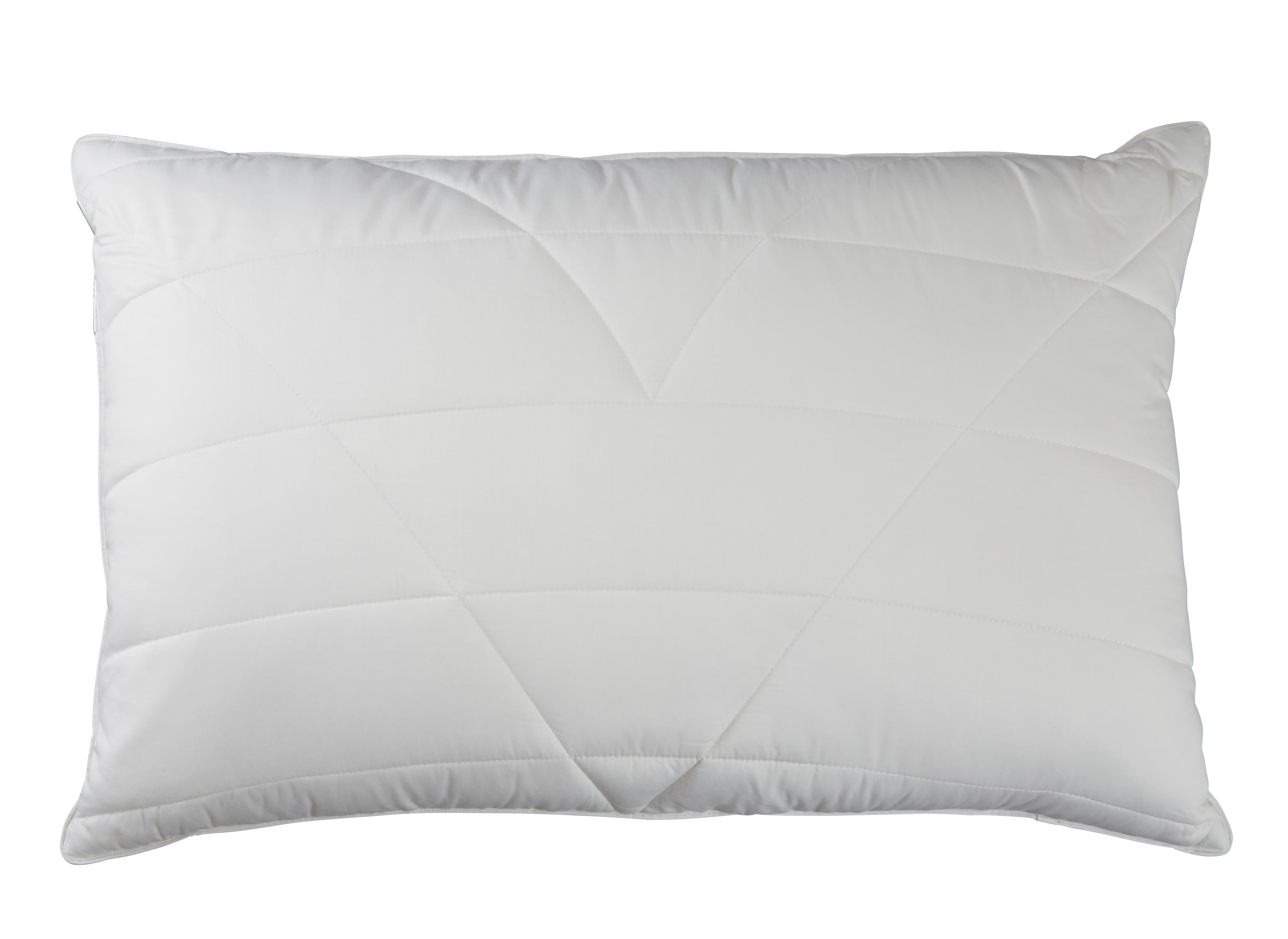 Symple Stuff Hollander L75 x W50cm Pillow