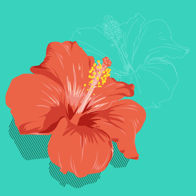 Red Hibiscus Flowers Vector Illustration On Green Background - Wrapped Canvas Print
