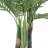 49'' Plant