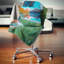 Throw Pillow