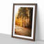 Sunlight Through the Forest - Picture Frame Painting Print-55614018-55614008