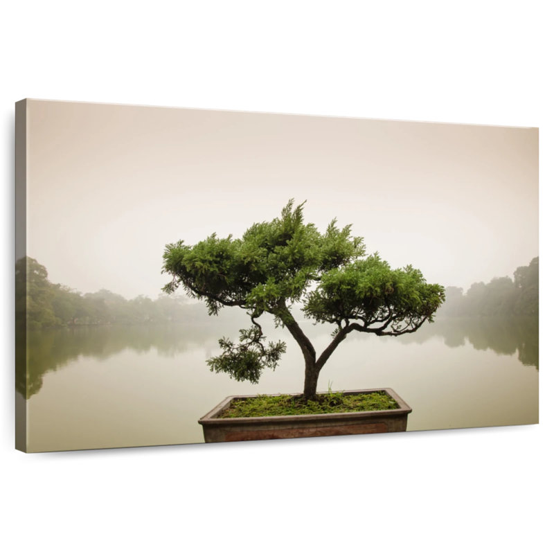 Bonsai Harnek Zen Garden, H 24 po x l 36 po