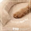 Pet Bed-131352279-131352281