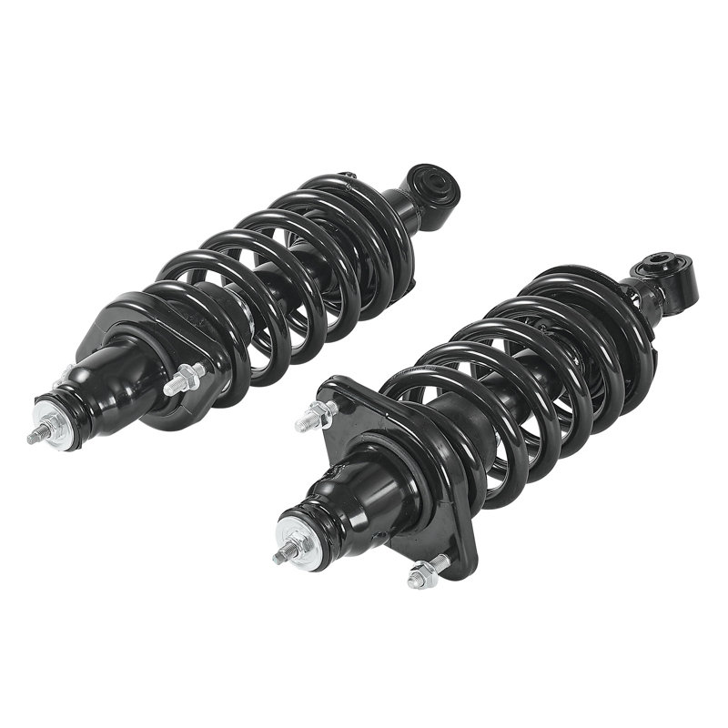Rear Shock Absorber Strut Assembly, 2Pcs Shock and Strut Assembly with Coil Spring