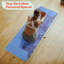Tapis de yoga avec sangle et tapis antidérapant antidérapant Rad Sportz-105506787
