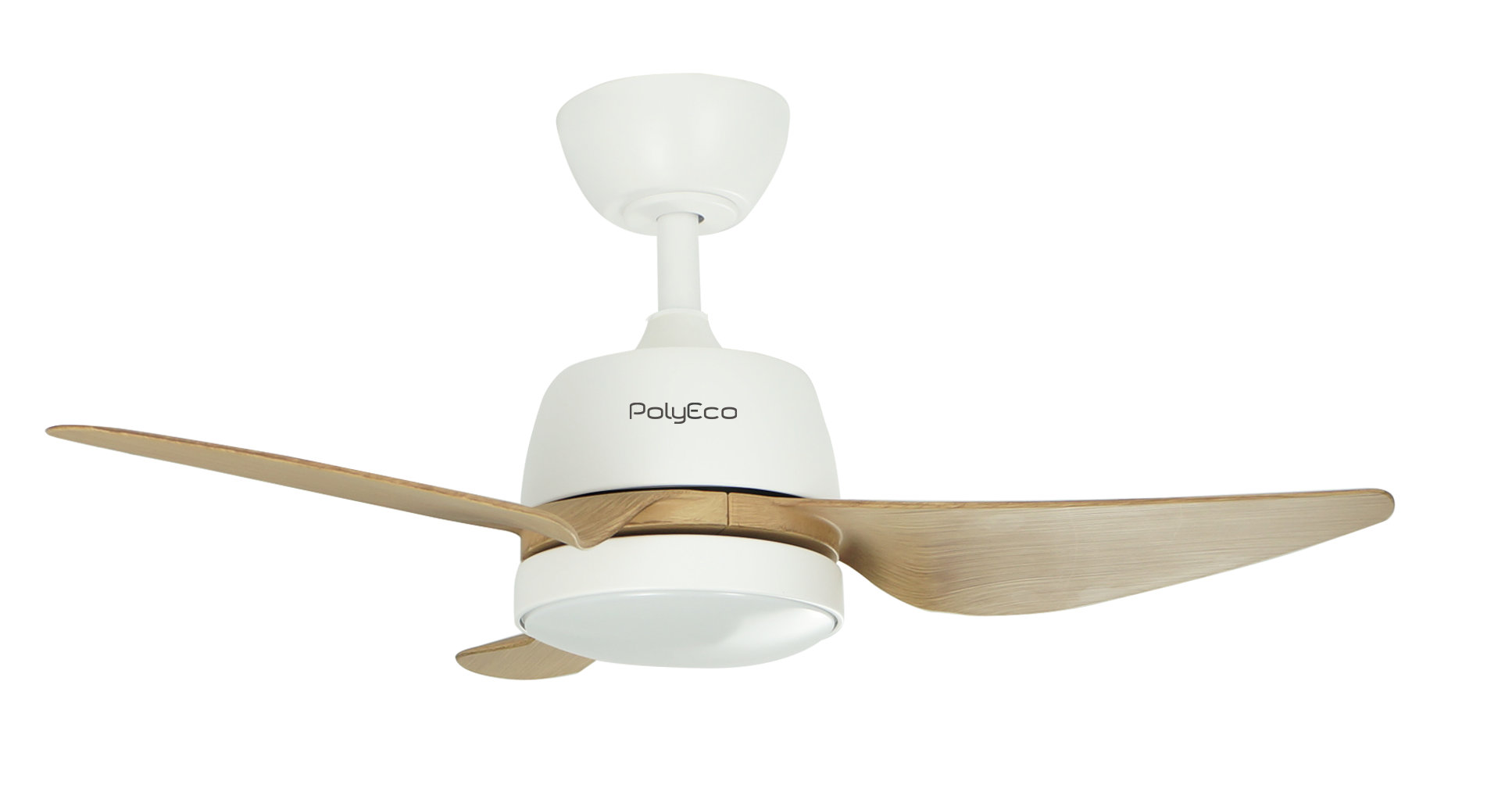 POLYECO 30'' Ceiling Fan with LED Lights | Wayfair