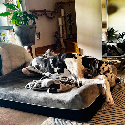 tapis/tapis de lit pour chien Johnone