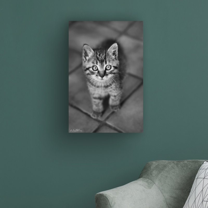 «Cute Kitty» par Ben Heine - reproduction de photo sur toile tendue, H 47 po x l 30 po x P 2 po