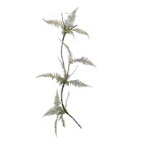55'' in. Faux Garland