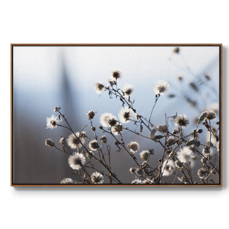 «Spring Fluff», reproduction sur toile, Noyer, H 25 po x l 37 po x P 2 po