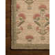 Delao Sage / Blush Area Rug