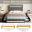 Cutino Upholstered Storage Bed-1685830164
